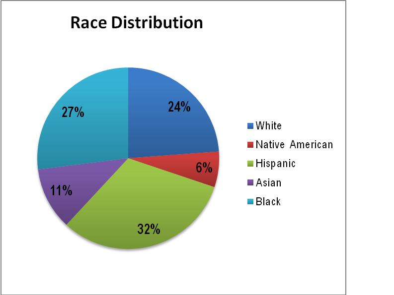 America Race Chart